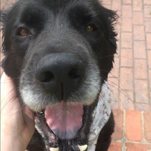 Meet your Posher, Caleigh